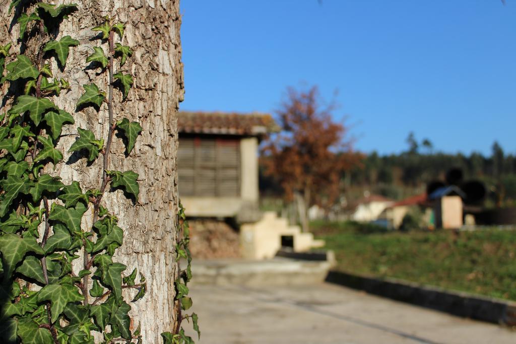 Vila Quinta Do Caminho, Al Valenca Exteriér fotografie